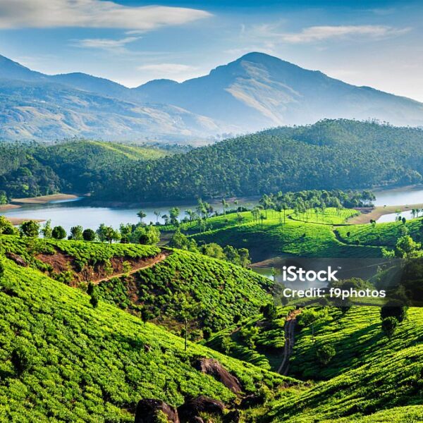 Hills & Backwaters	| 5 Nights & 6 Days